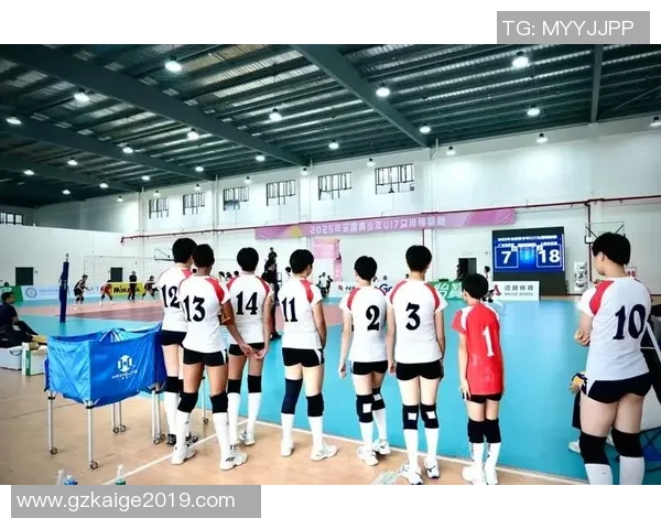 上海排球队在全国排球配合排行榜中荣获第九名展现实力与团队精神